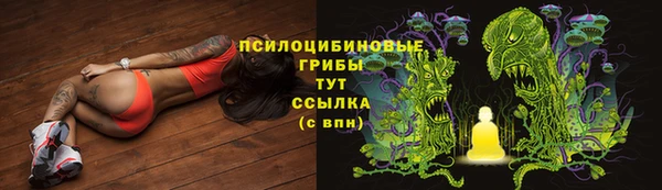 гидропоника Абинск